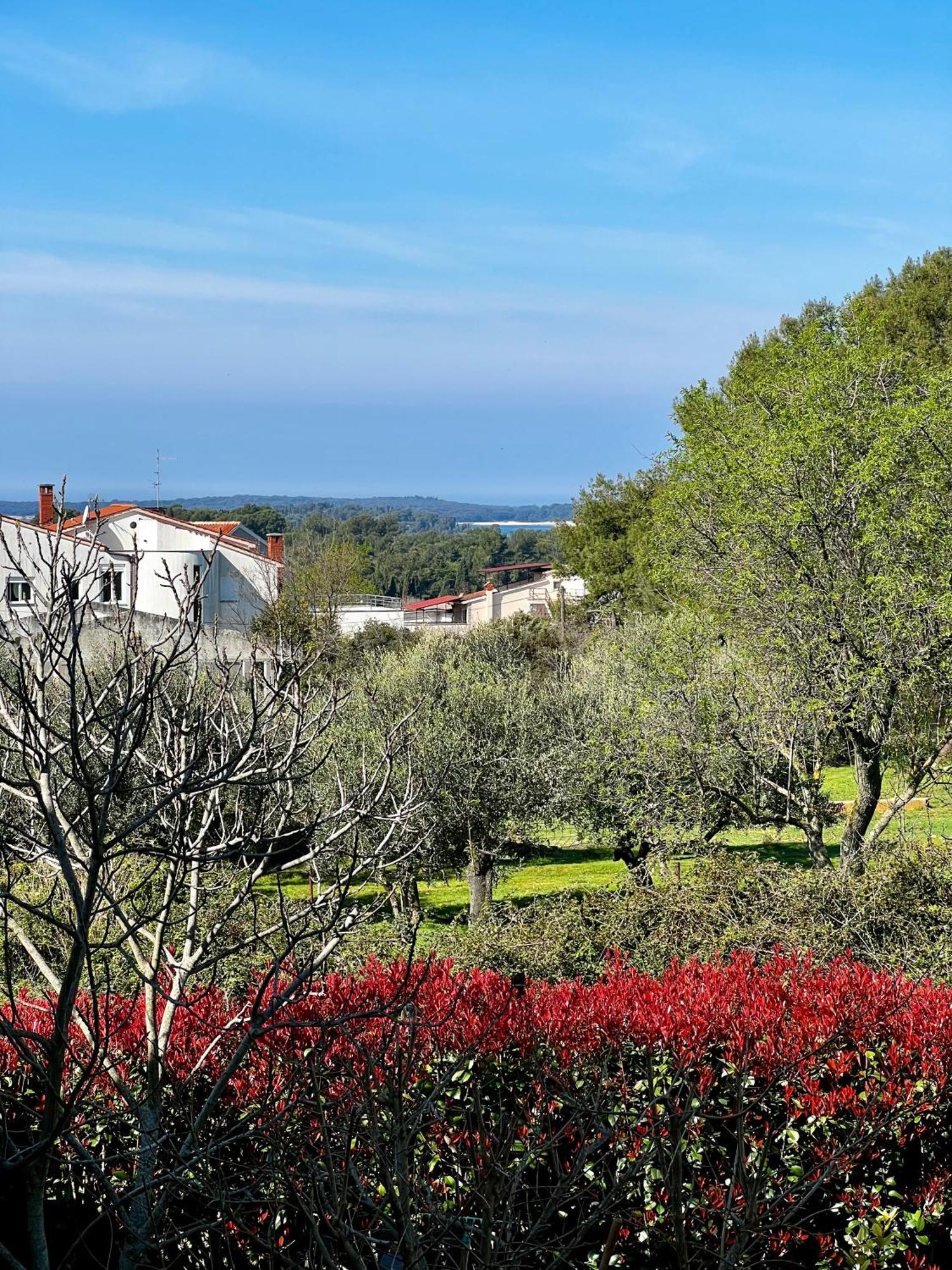 Eden Apartamento PUY Exterior foto